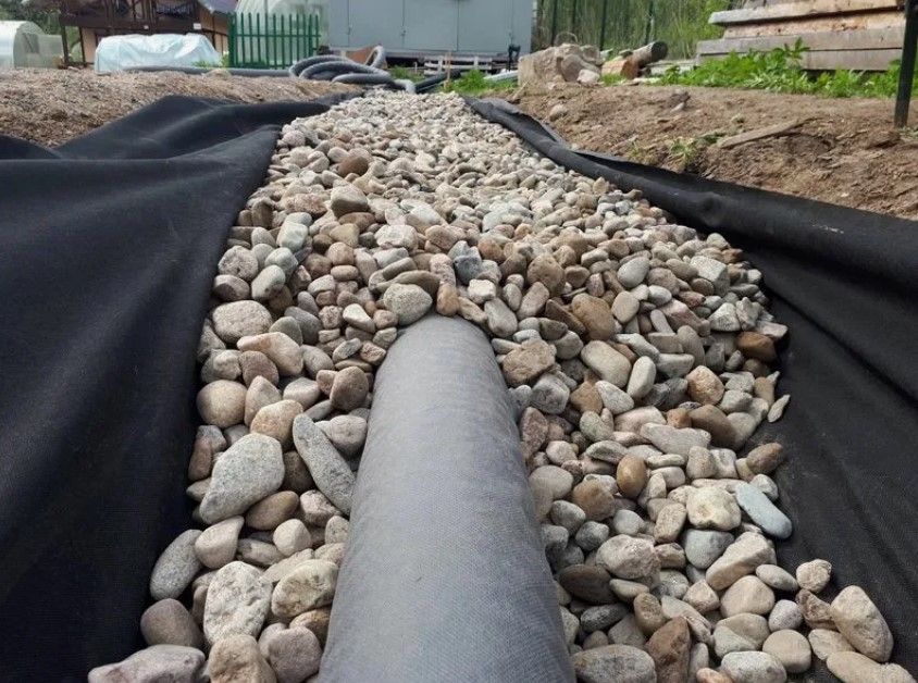 ���������� ����� ����� ����� ������� ������������