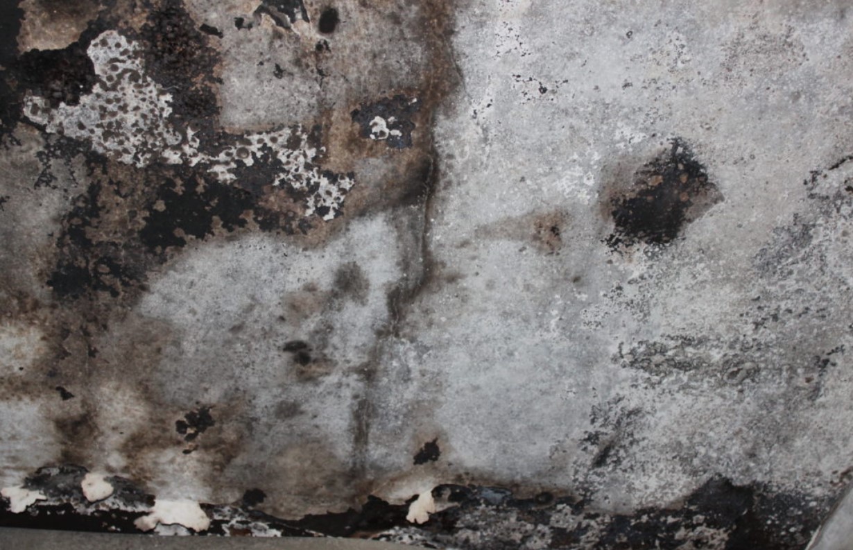 ����������� ������������ ������ ����� ������